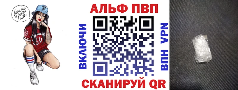 где купить наркоту  Суздаль  нарко площадка телеграм  А ПВП крисы CK 