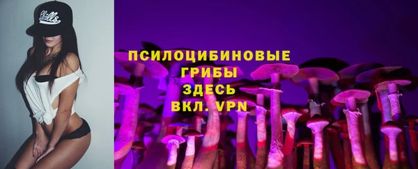 мяу мяу мука Пролетарск