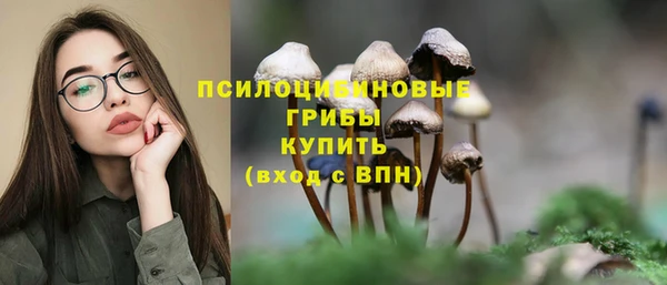 амф Приозерск